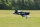 FMS - F4U Corsair (V2) RTF 800mm - Mode 2 (4ST19002RTF2)
