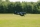FMS - F4U Corsair (V2) RTF 800mm - Mode 2 (4ST19002RTF2)