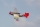 FMS - P-51D Mustang "Red Tail" V8 - ARF (4ST18901)