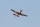 FMS - P-51D Mustang "Red Tail" V8 - ARF (4ST18901)