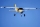 FMS - Ranger 1220 ARF (4ST18102-A)