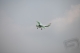 FMS - Ranger 1800 ARF (4ST18104-A)