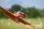 FMS - PC-21 1100mm ARF (4ST18078-A)