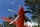 FMS - PC-21 1100mm ARF (4ST18078-A)