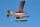 FMS - Beaver 2000mm - rot (4ST18062-AR)