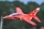 FMS - YAK 70mm 880mm ARF (4ST18070-A)