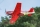 FMS - P-51 Dago Red 1100mm ARF (4ST17052-A)