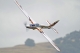 FMS - FOX 3000mm ARF (4ST18060-A)