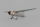 PHOENIX MODEL - PH169 Phoenix Westland Lysander - 320 cm (4ST16161)