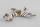 PHOENIX MODEL - SPITFIRE II 40 ARF 1400mm PH120 (4ST16133)