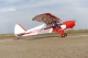 PHOENIX MODEL - Super Cub 1/4 PA-18 (4ST16126)