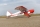 PHOENIX MODEL - Super Cub 1/4 PA-18 (4ST16126)