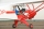PHOENIX MODEL - Super Cub 1/4 PA-18 (4ST16126)