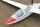 PHOENIX MODEL - ASK-21 kit ARF (4ST16130)