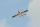 PHOENIX MODEL - Domino 46-55ccm (4ST16060)