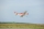 PHOENIX MODEL - PH103 Circus (1640 mm) (4ST16065)
