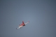 Taft Hobby - Viper Jet 1450mm Red PNP (4ST1476-RA)