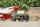 FMS - MB Scaler 1941 1:6 ARTR (ROC001-RS)