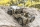 FMS - Willys MB Scaler 1941 1:12 RTR (ROC11201)