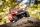 FMS - Fire Horse 1:18 RTR (ROC11804)