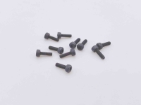 SWORKz Zylinderkopfschraube M2x6mm (10) (SW105018)
