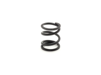SWORKz Feder Servosaver (SW115058)