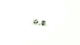 SWORKz Einstellknopf (GM) (2) (SW330156)