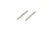 SWORKz Stift Achsschenkel hinten (2) (SW330293)