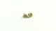 SWORKz Radmitnehmer Light 5,0mm EVO für 8mm Welle...