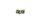 SWORKz Radmitnehmer 17mm für 6mm Welle +1,0mm (2) (SW330575)