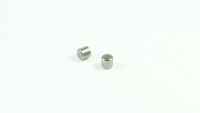 SWORKz Stift 5 x 4,9mm (2) (SW330832)