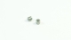 SWORKz Stift 5 x 4,9mm (2) (SW330832)