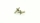 SWORKz Achse Achsschenkel vorne links & rechts Aluminium (2) (SW332014)