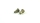 SWORKz S14-3 Aluminum Shock Stud(2PC) (SW334002)