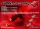 SWORKz Radmitnehmer 12mm (+3mm)(2) (SW334039)
