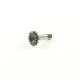 SWORKz HET Triebling 10T (SW338045)