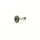 SWORKz HET Triebling 10T (SW338045)