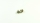 SWORKz Radmitnehmer Light 5,5mm für 8mm Welle (2) (SW338080)