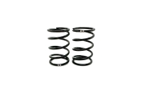 SWORKz GT Black Competition Feder Stoßdämpfer A2 (40×2.2×5.25)(GN)(2) (SWC115148A)
