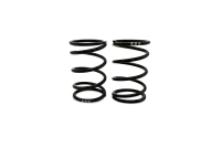 SWORKz GT Black Competition Feder Stoßdämpfer A3 (40×2.2×5.00)(GN)(2) (SWC115153A)