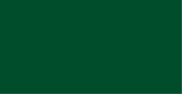 Vallejo - Premium RC - Dark green 60 ml (VA62.014)