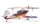 Christen Eagle II - 1370mm