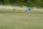 Seagull - Swift Trainer 3v1 1,6m New Version (SEA138N)