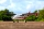Seagull - Cessna 337 Skymaster 1,95m (SEA146)