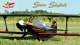 Seagull - Steen Skybolt 1,55m Black/Red (SEA237B)