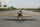 Seagull - Ryan PT-22 Recruit 1/4 2,29m (SEA288)