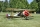 Seagull - Nieuport 28 1,72m (SEA303)