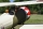 Seagull - Nieuport 28 1,72m (SEA303)