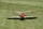 Seagull - Nieuport 28 1,72m (SEA303)