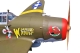 Seagull - P-47 Thunderbolt Wicked rabbit 2,05m (Electric retracts) (SEA306G)